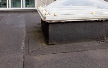 disadvantages of Braal Castle flat roofs