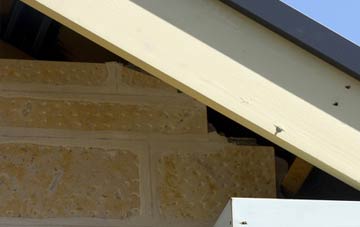 soffit repair Braal Castle